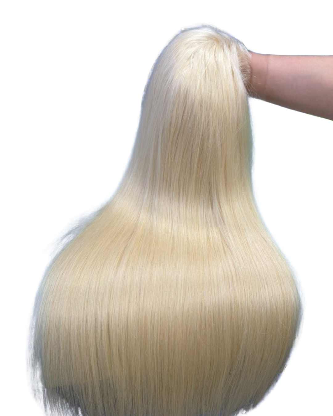 Virgin Cambodian Straight HD Frontal Wig #613